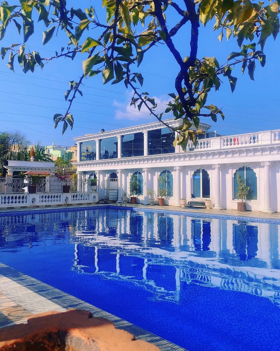 Dream Palace gallery image 8