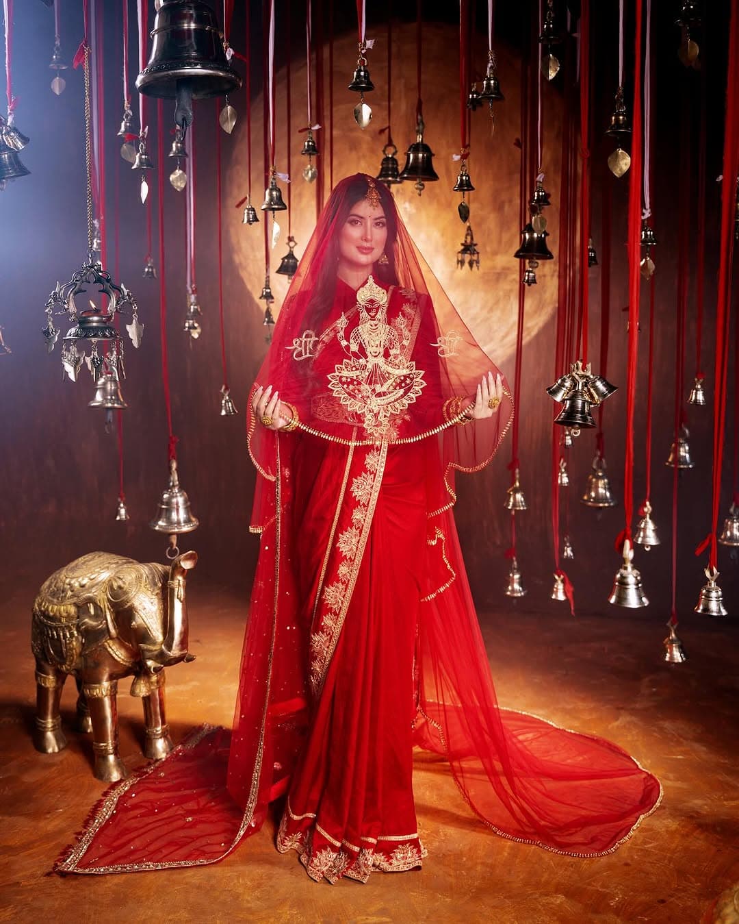 Designer evening gown by Manis Rai